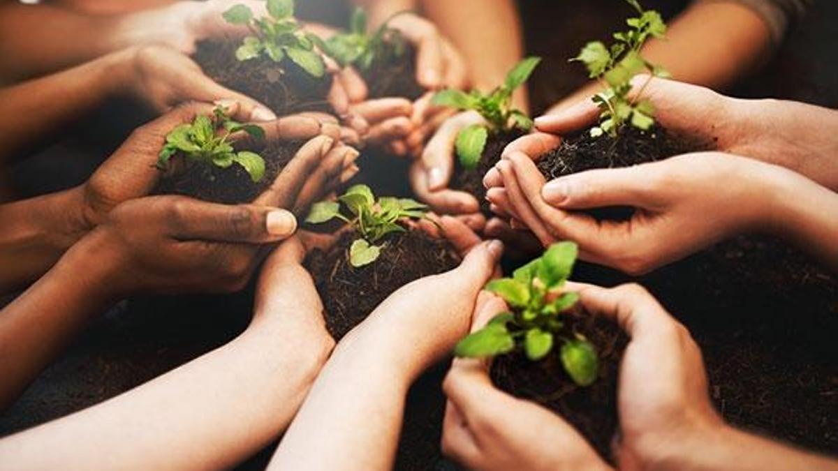 İş dünyasından fidan kampanyasına büyük destek