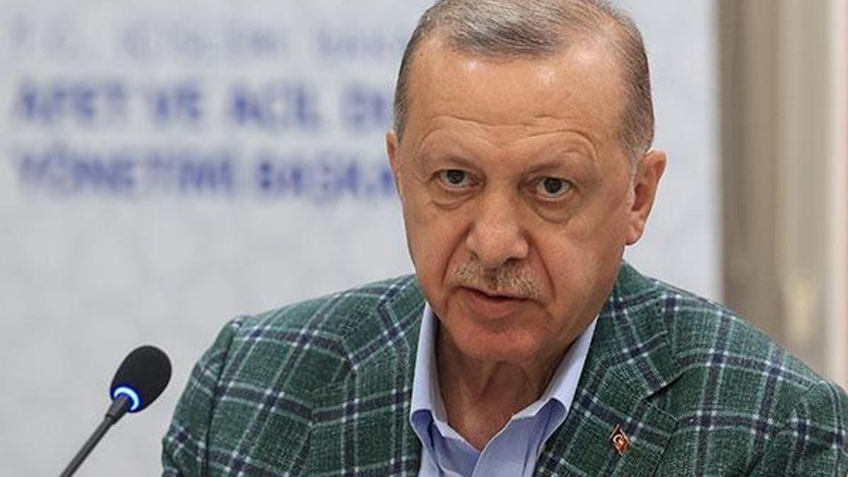 Cumhurbaşkanı Erdoğan'dan yangınlarla ilgili son dakika açıklaması