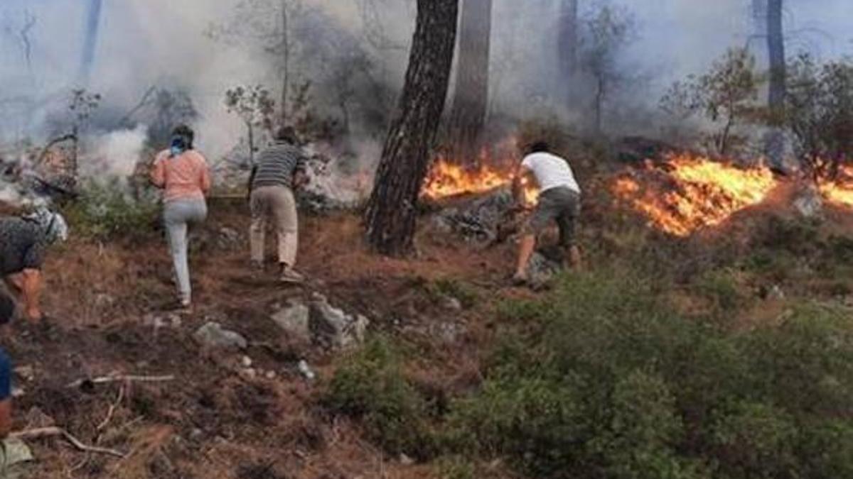 Yangınlarda son durum! Yangını kim çıkardı, yangınları kim üstlendi? Yangınlar kontrol altına alındı mı, devam ediliyor mu, yangında kaç kişi öldü?