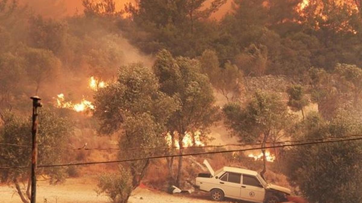 Bodrum yangını nerede, Bodrum’da yangın nerede çıktı? Bodrum Mazı yangınında son durum ne?