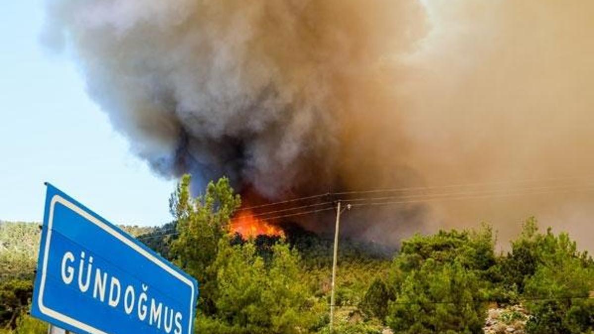 Orman yangınlarında son dakika! Gündoğmuş ilçesi tahliye ediliyor... Bodrum, Manavgat, Marmaris, Milas, Denizli ve Isparta'da son durum...