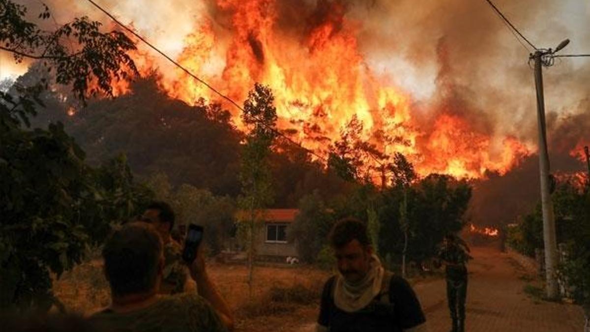 Marmaris'te ağaçlara ağıt! Cennetimizdi şimdi bizim cehennemimiz oldu...