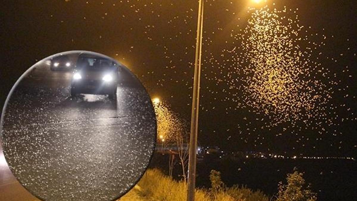 Bir anda yollar bembeyaz oldu! Gören şaşkına döndü: Ölüm dansı...