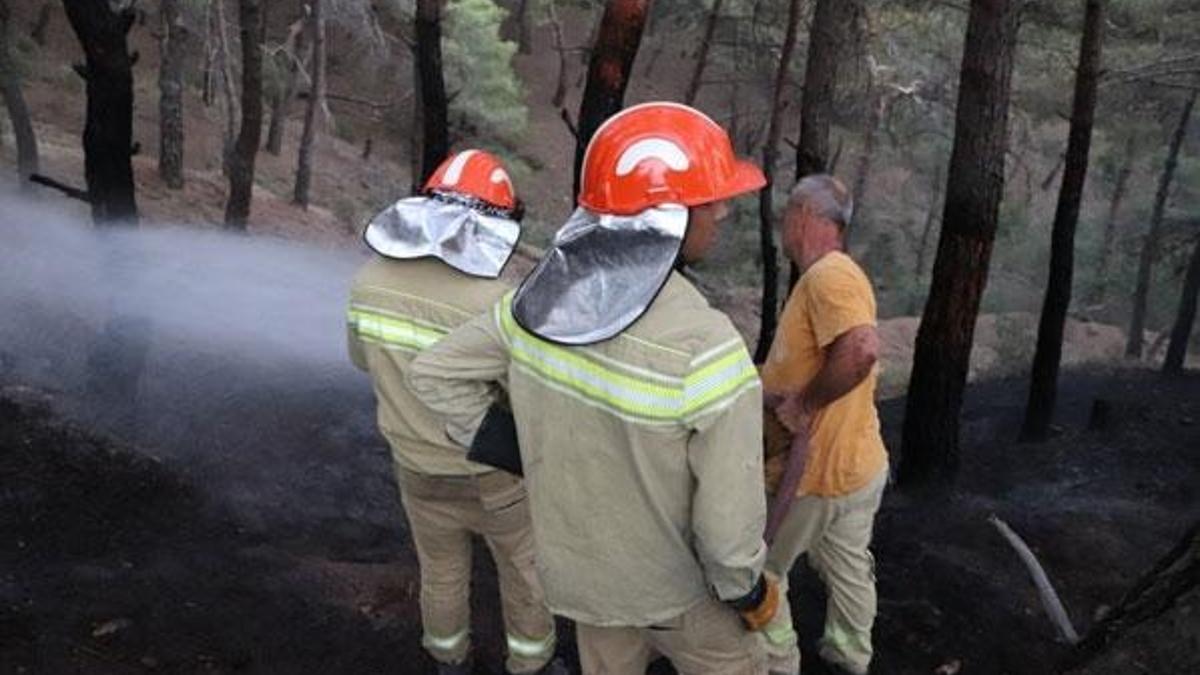 Orman yangınlarını fırsata çevirdiler! Bir günde yüzde 633 zam...