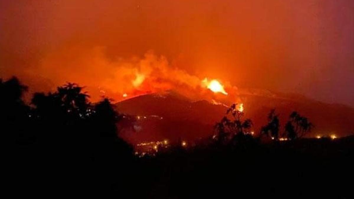 Orman yangınlarında son dakika gelişmesi! Aydın, Manavgat, Bodrum, Milas, Marmaris, Denizli, Hatay, Çanakkale, Isparta, Kütahya, Hatay, Manisa ve Balıkesir'de son durum...