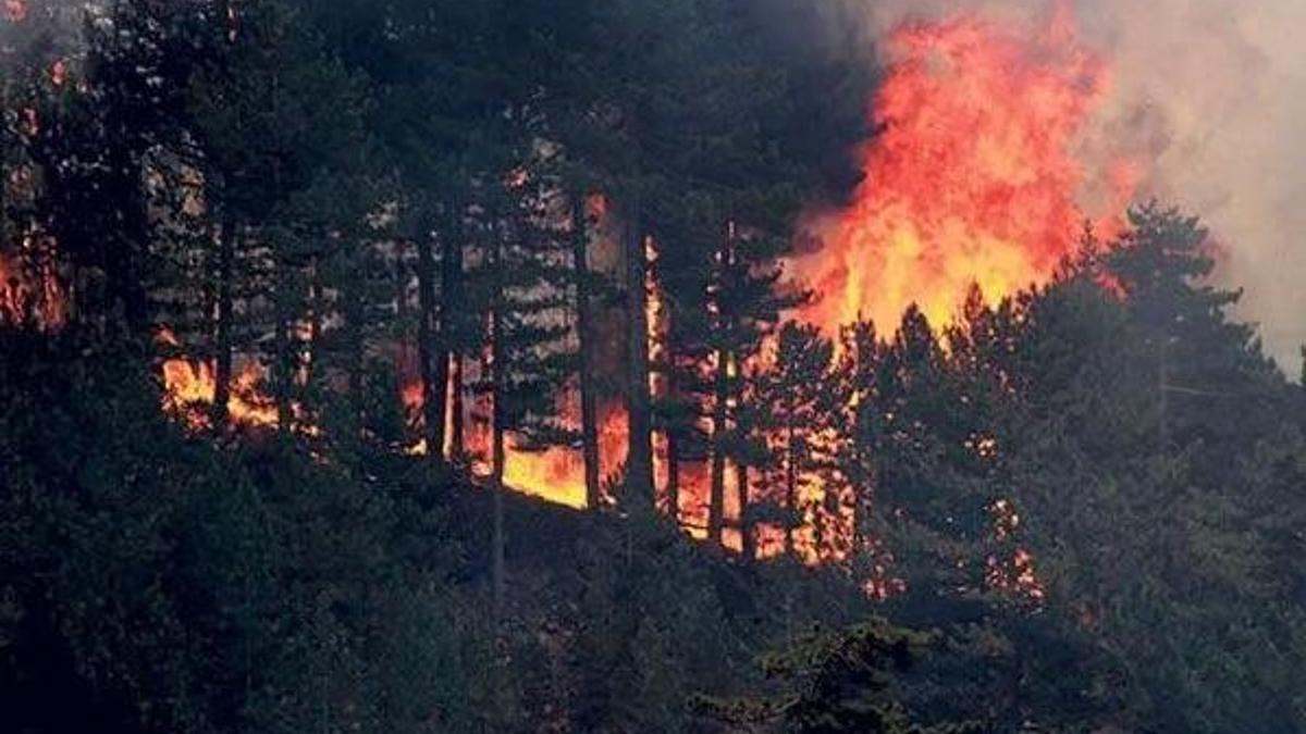 Yangınlarda son durum ve NASA Fire Map Turkey ile yangın haritası! (İl il yangın listesi ve tablosu) Orman yangını nerelerde var?