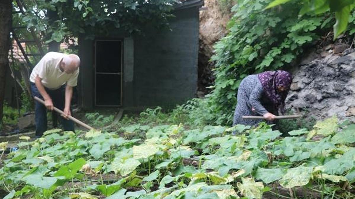 Organik diye alınan ürünlerde kanser riski!