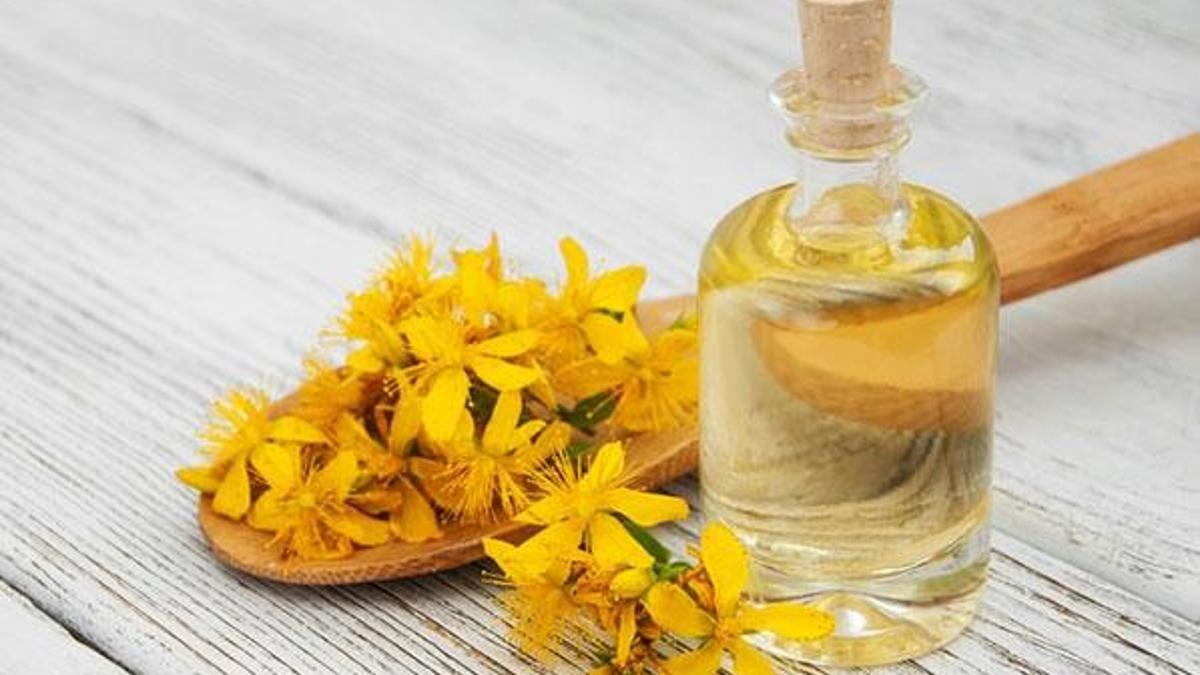 Kantaron yağının faydaları nelerdir? Kantaron yağı nasıl kullanılır, zararı var mı?