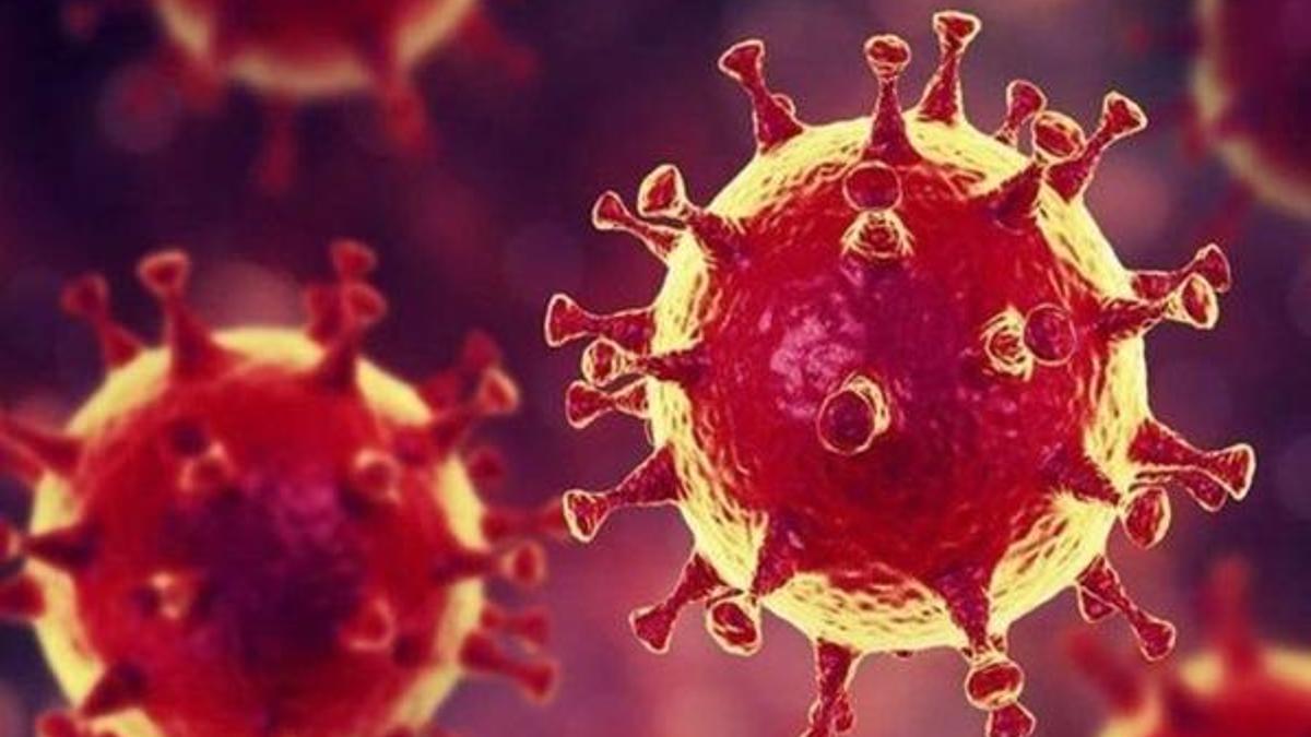 Norovirüs nedir, belirtileri nelerdir? Noronavirüs nasıl geçer, insandan insana bulaşır mı?