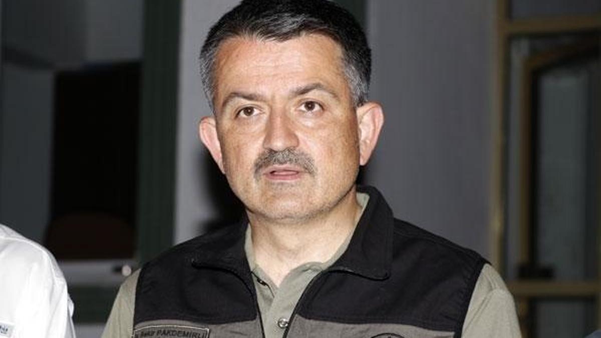 Bakan Pakdemirli: 223 yangından 217'si kontrol altına alındı