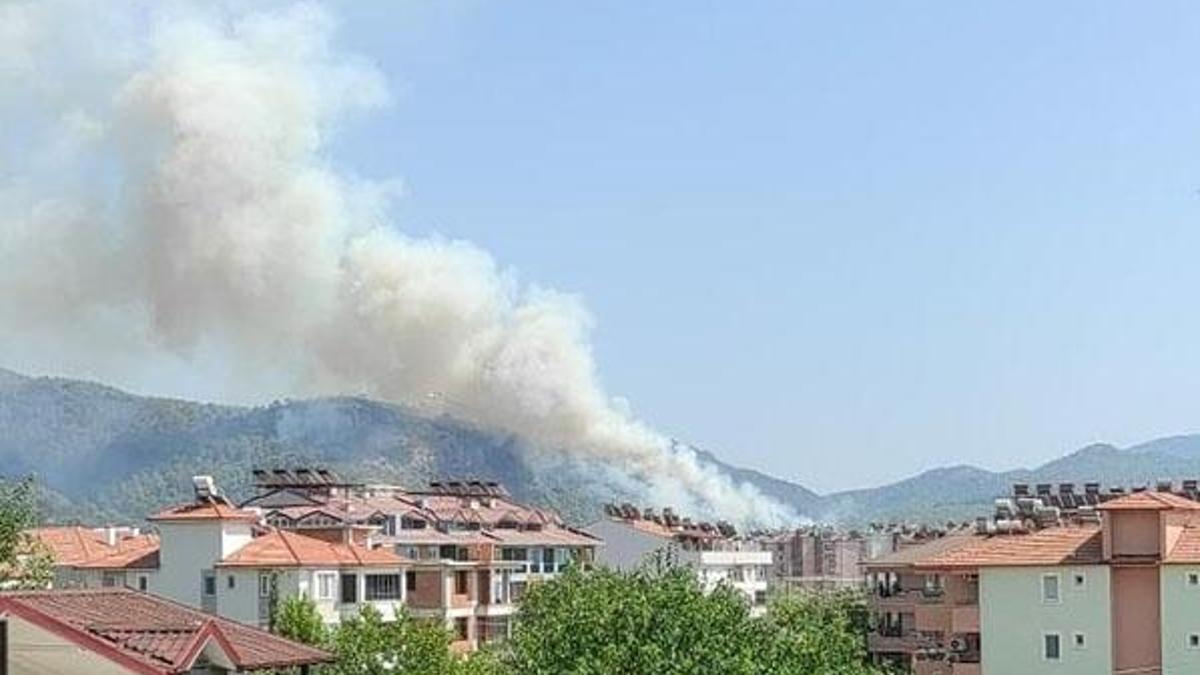 Bir orman yangını haberi daha geldi...