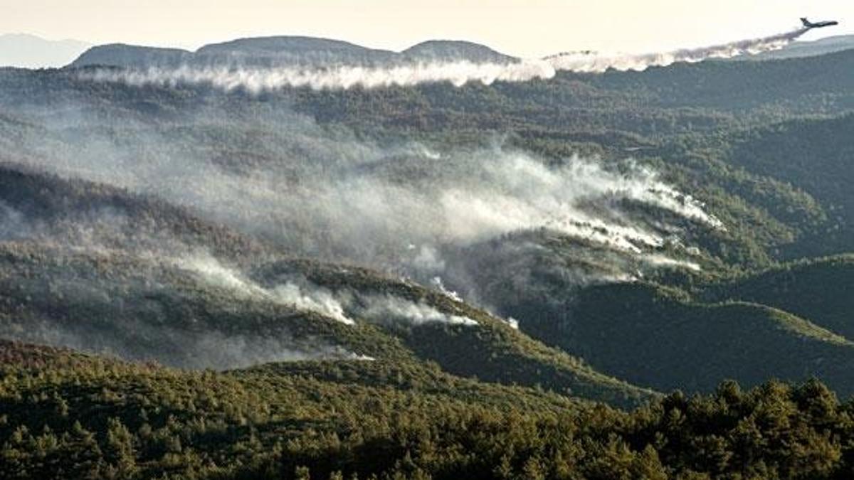 Orman yangınlarında son durum! Aydın Çine için büyük seferberlik: Alevlere karşı canla başla büyük mücadele...
