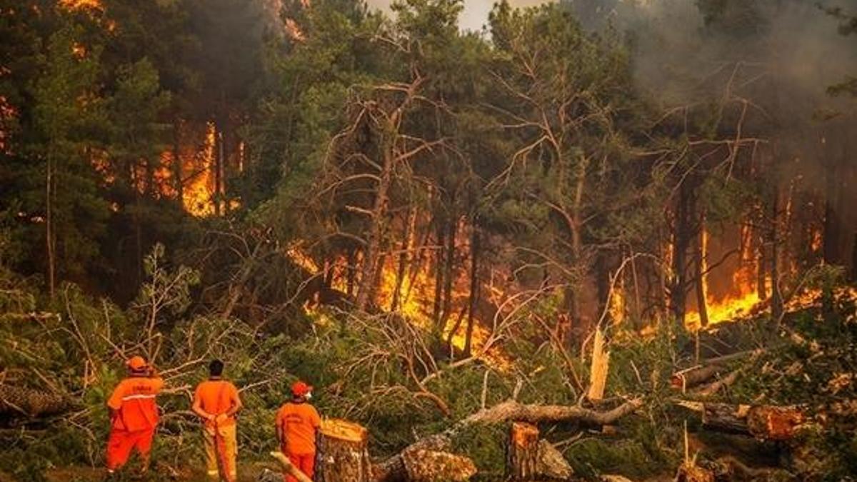 TZOB orman yangınları nedeniyle yardım kampanyası başlattı
