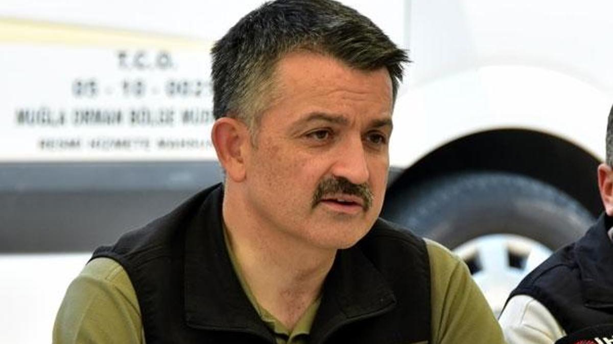 Bakan son durumu açıkladı! Orman yangınları kontrol altına alındı...
