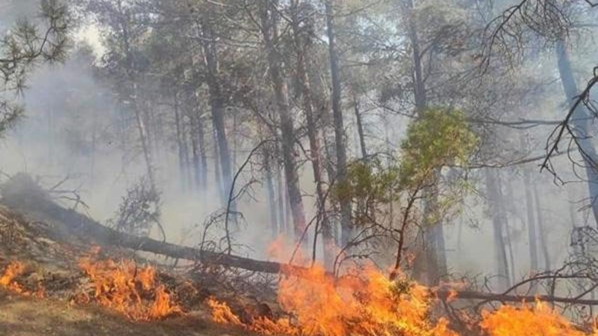 Antalya Kaş’ta orman yangını çıktı