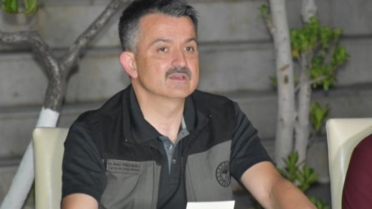 Bakan Pakdemirli'den orman yangınlarıyla ilgili açıklama!
