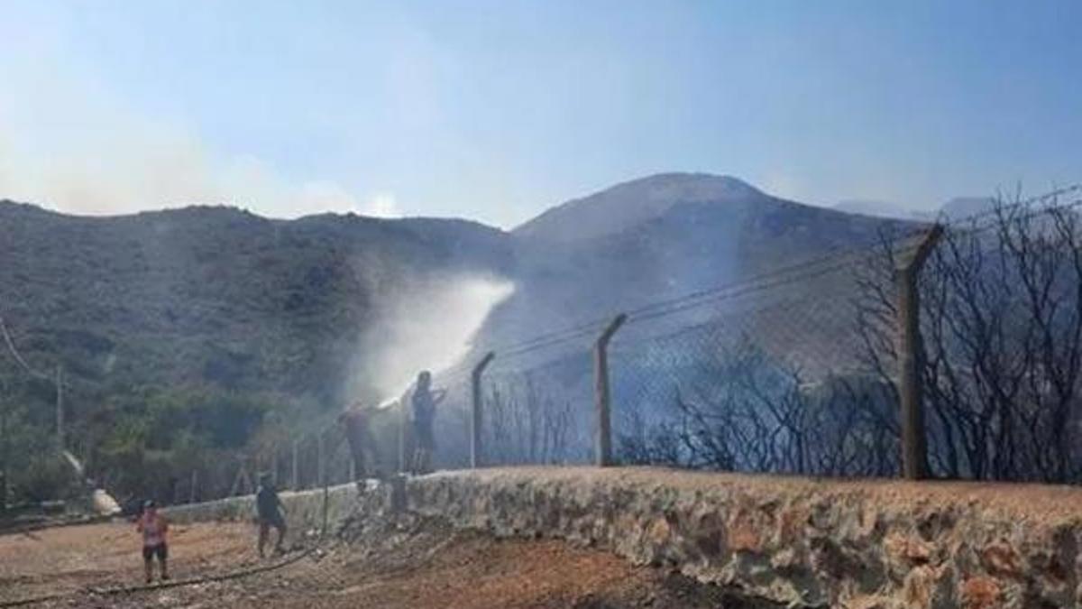 Bakan Pakdemirli'den Bodrum yangını açıklaması!