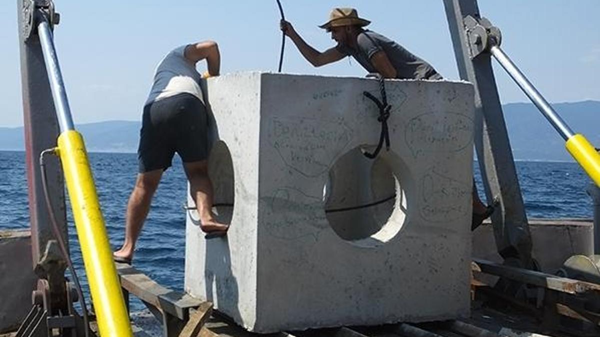 Balık çeşitliliğini arttırmak için denize yapay resifler bırakılıyor