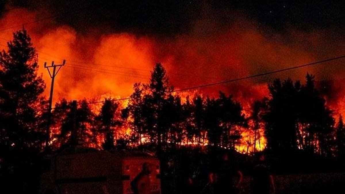 Köyceğiz yangını kontrol altına alındı
