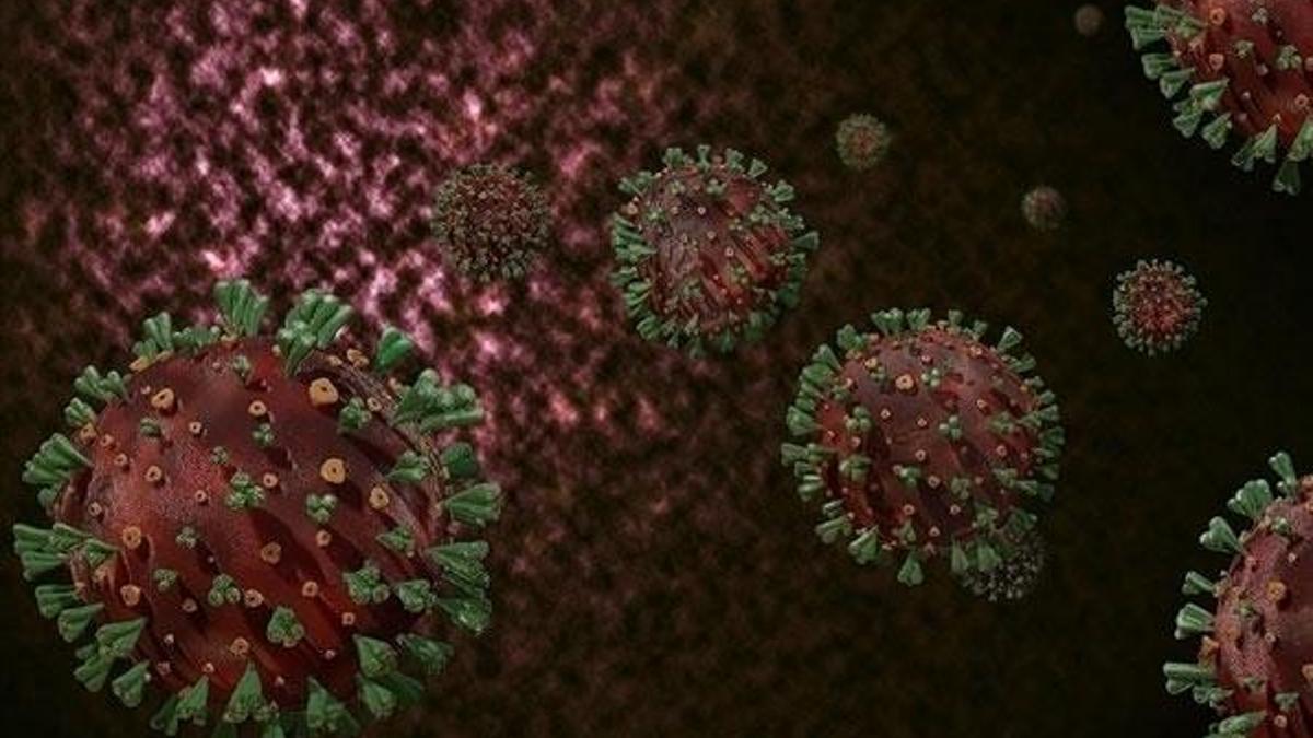 DSÖ, Kovid-19'un kökenine ilişkin yeni araştırma ekibi kurdu