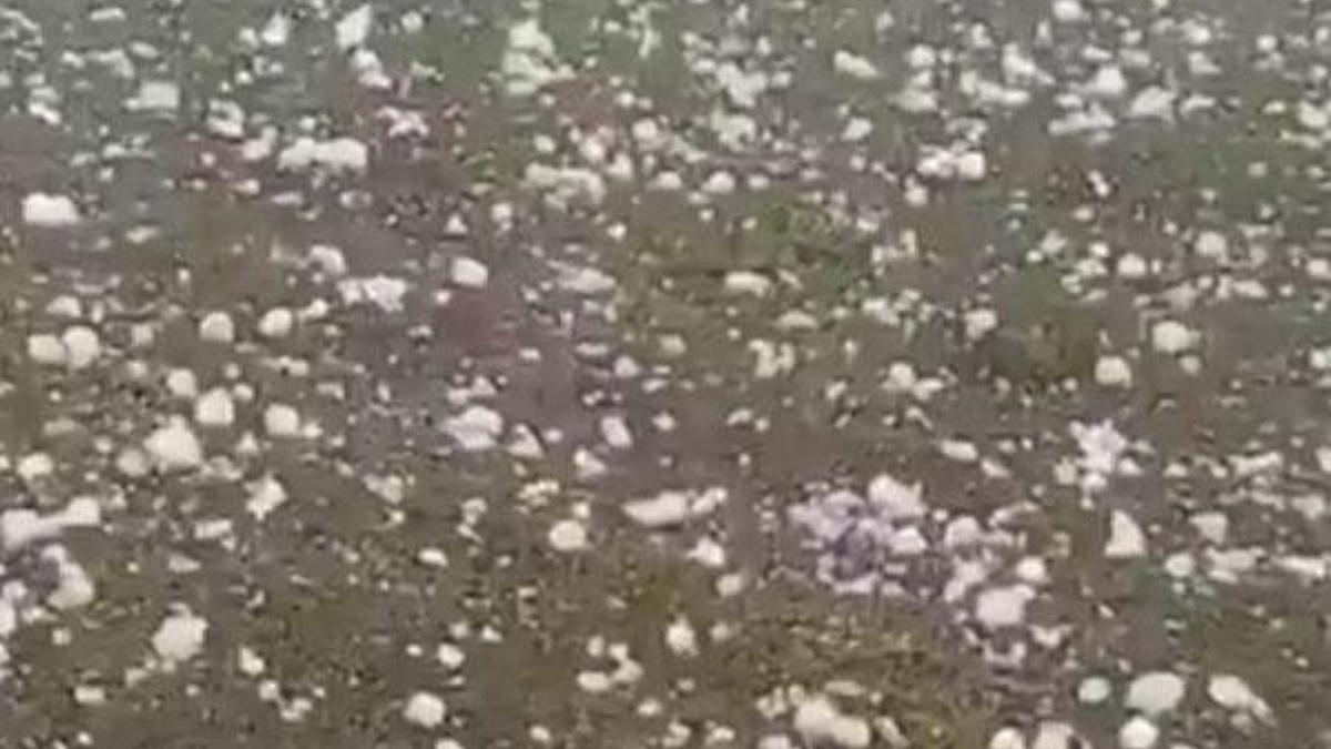 Trabzon'da yaylada dolu yağışı! Bir anda bastırdı