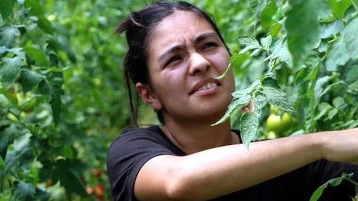 İşini bırakıp köye döndü! 6'ya katladı