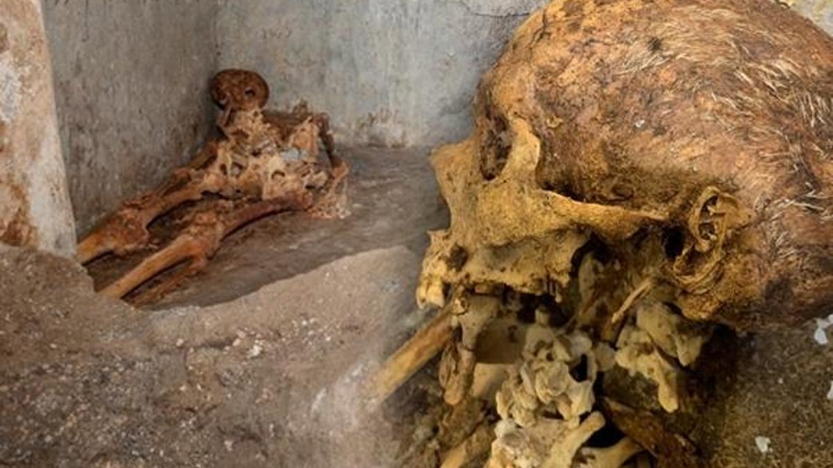 Dünyayı şaşırtan ‘olağandışı’ keşif! Pompeii’de ortaya çıktı