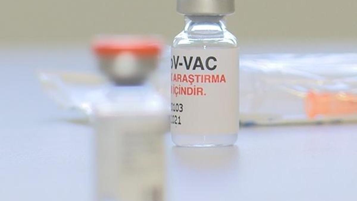 Turkovac mı Sinovac aşısı mı daha etkili? 168 gün...