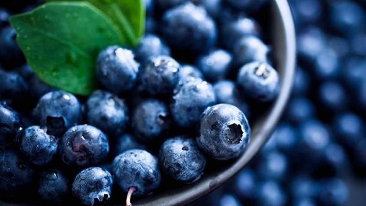 Yaban mersininin bilinmeyen faydaları! Yapraklarını ezip...