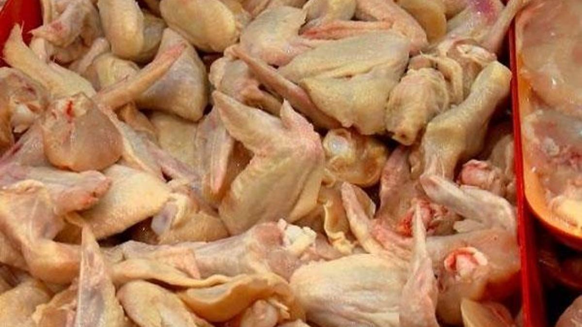 Tavuk ve kanat fiyatları düştü