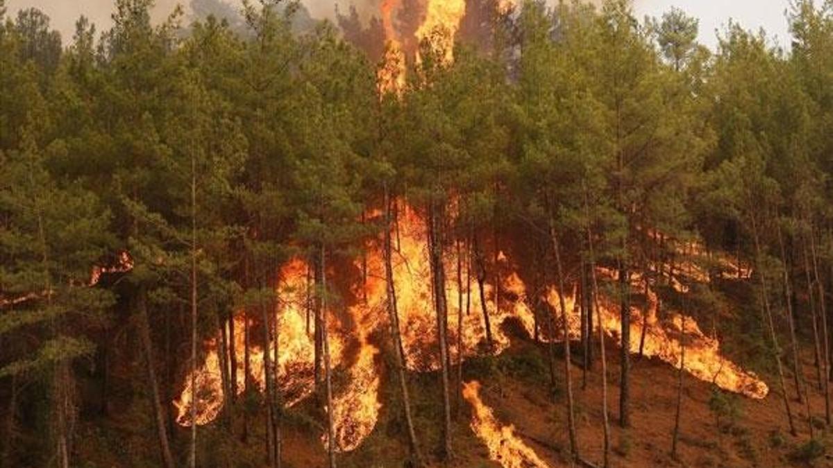 Akseki ve Manavgat orman yangınlarını böyle çıkarmış: Benzinle döke, döke, yaka yaka gittim
