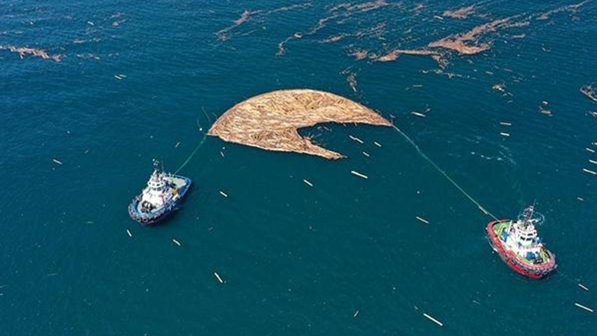 Selde denize sürüklenen tomruklar toplanıyor