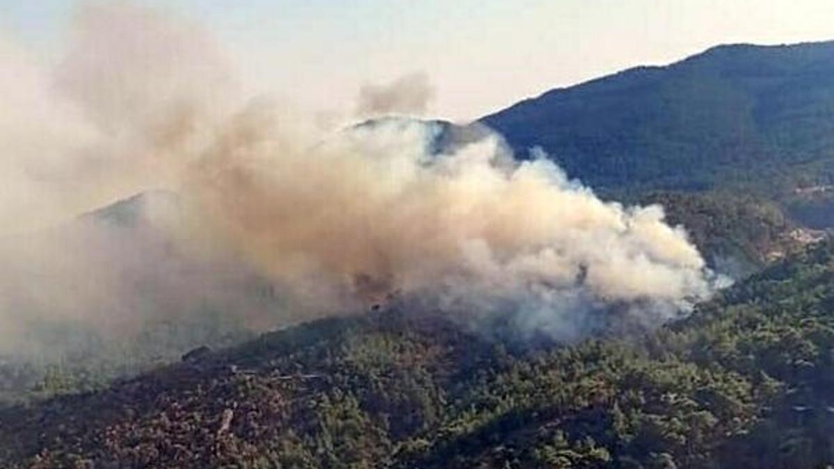Aydın’da orman yangını