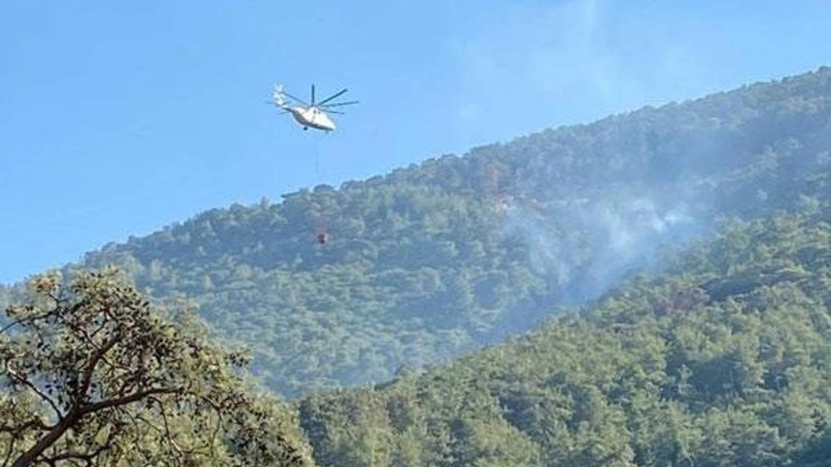Milas'ta çıkan orman yangını kontrol altına alındı
