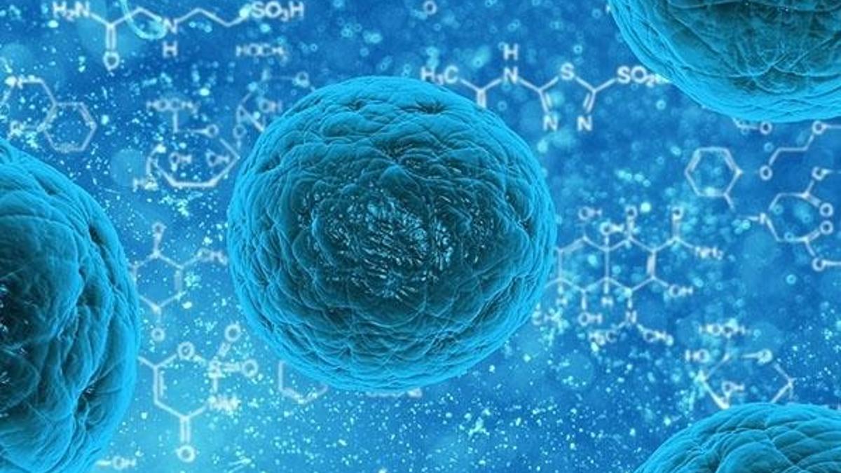 ABD: Kovid-19'un biyolojik silah olarak geliştirildiğine inanmıyoruz