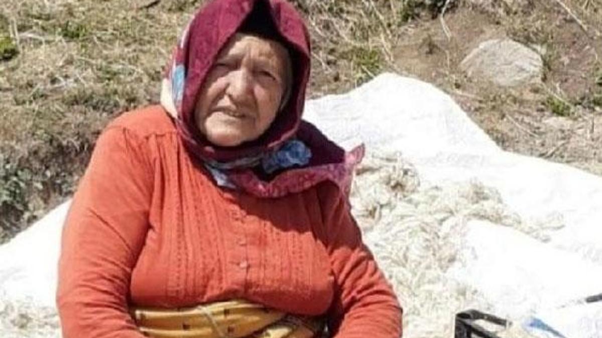 Mantardan zehirlenen büyükanne öldü! 6 torun hastanede