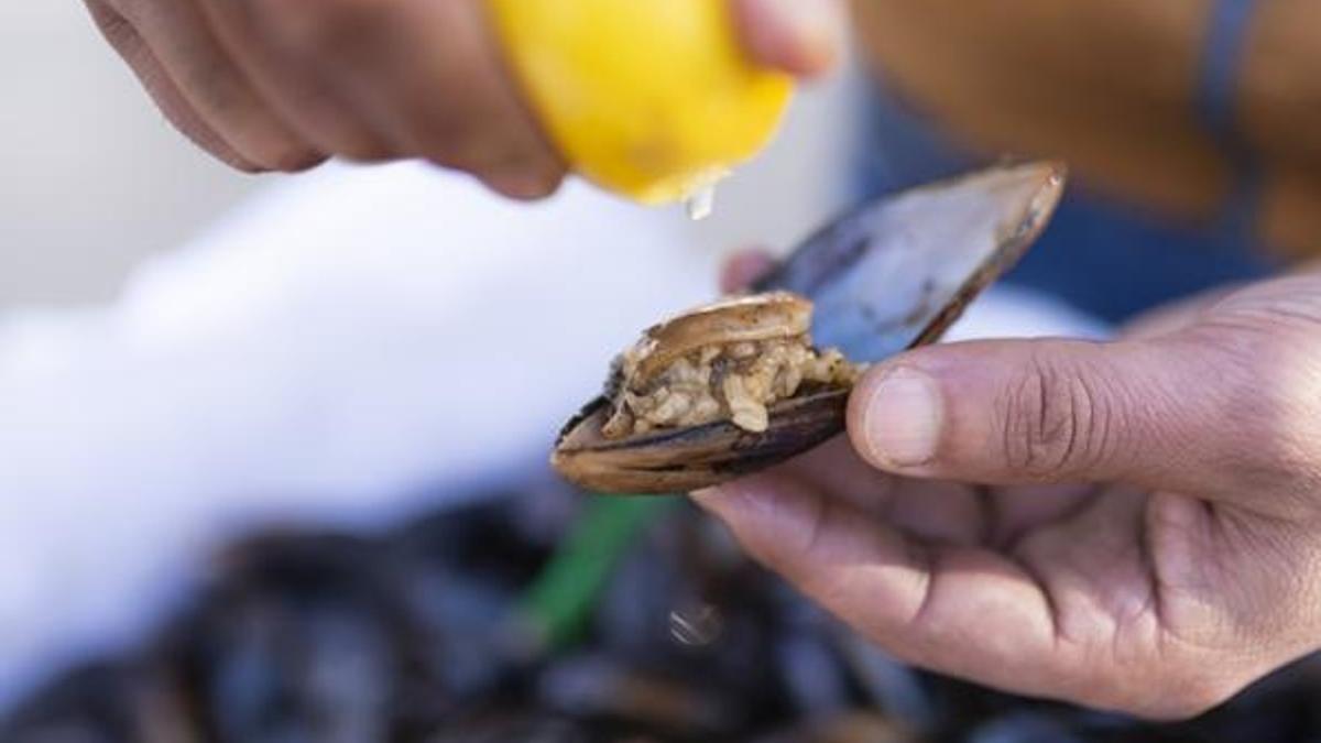 Midye, kalamar, karides, yengeç yemek haram mı? Diyanet'ten yeni açıklama...