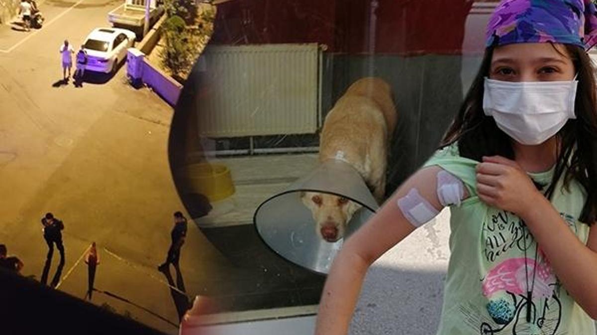 Emekli polis, köpeğe kurşun yağdırdı! Seken mermi çocuğa isabet etti
