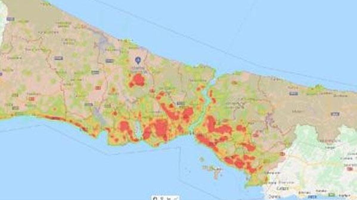 İstanbul'da sivrisinek alarmı! On binlercesi var