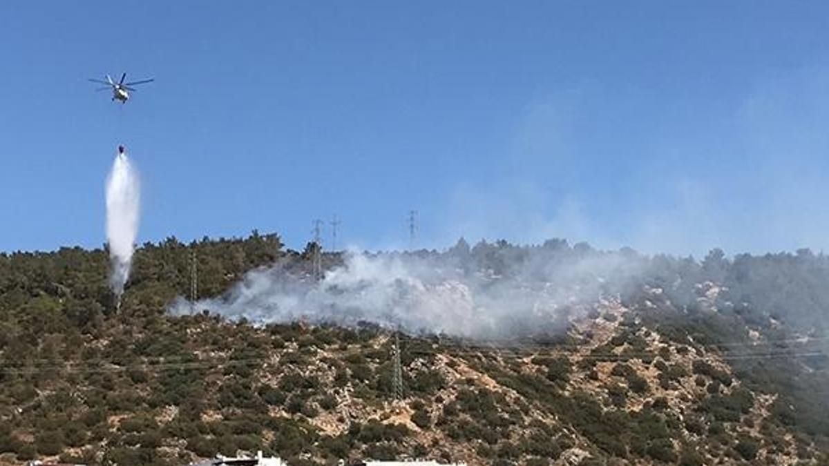 Bodrum'da ormanlık alanda yangın! Havadan ve karadan müdahale ediliyor