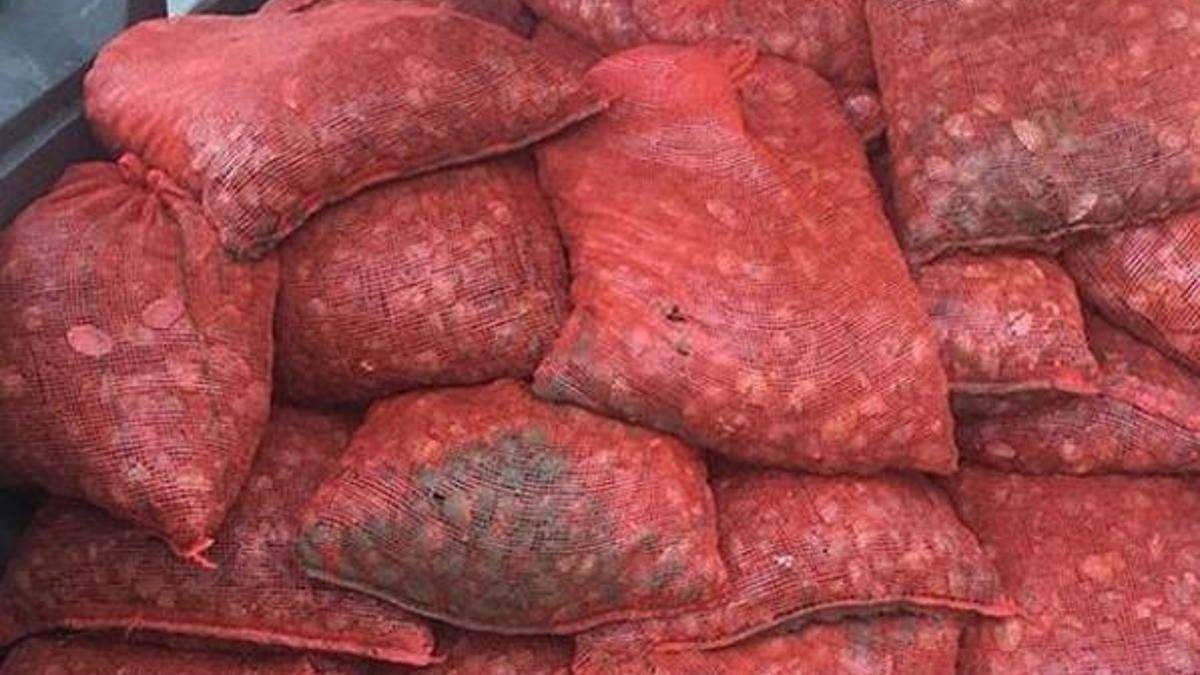 Yasadışı avlanan 6 ton midye denize bırakıldı