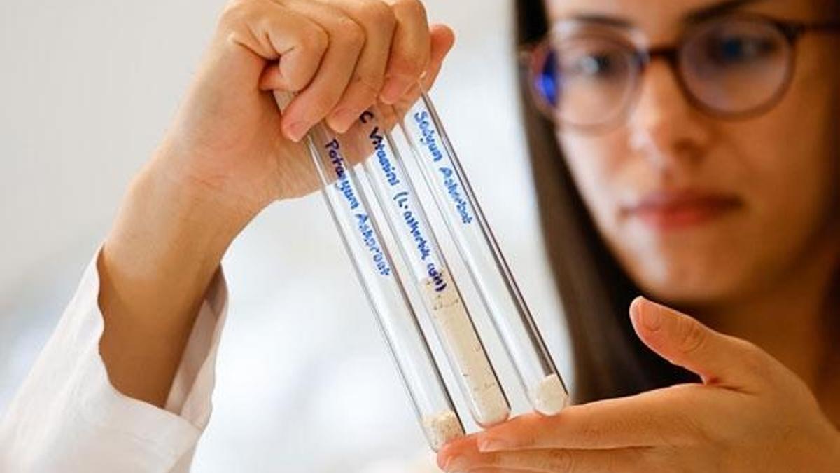 Akdeniz Üniversitesinde üretilen C vitamini endüstri için hazır