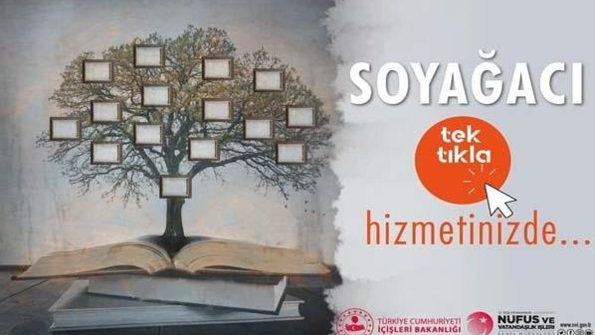 Soyağacı oluşturma hizmeti! Soyağacı oluşturma işlemi nasıl yapılır? İşte e devlet 'Soyağacı oluşturma ve soyağacı sorgulama' ekranı...