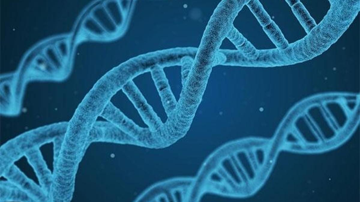 Türk toplumunun genetik kodlarına ışık tutan araştırma sonuçlandı