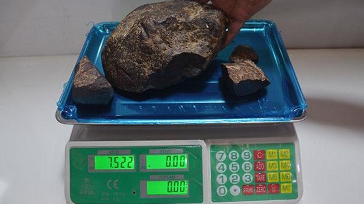 Fotoğraf çekerken buldular! Ne olduğunu öğrenince şaşkına döndüler