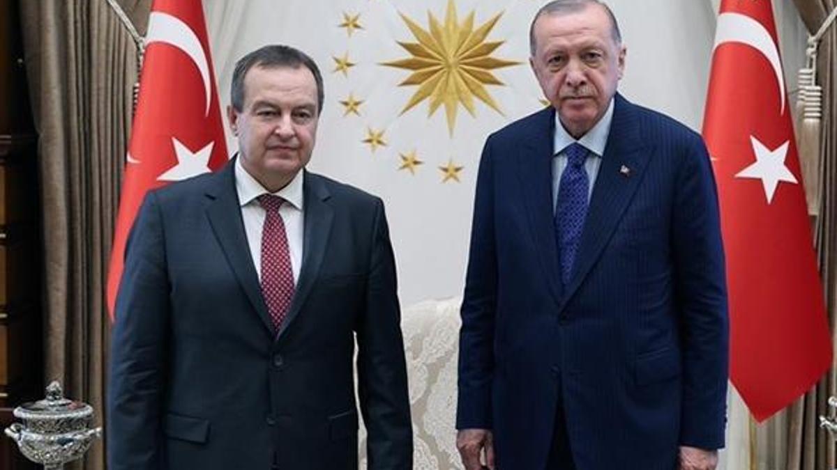 Cumhurbaşkanı Erdoğan, Sırbistan Ulusal Meclis Başkanı Daçiç'i kabul etti