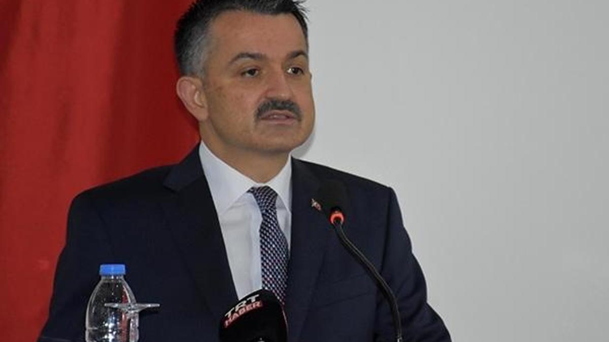 Destek ödemesi ile ilgili flaş açıklama! Bakan Pakdemirli duyurdu