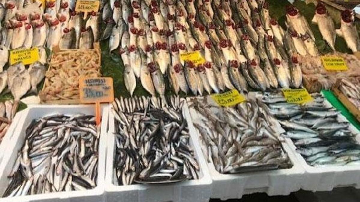 Balık fiyatları artıyor! Kilosu...