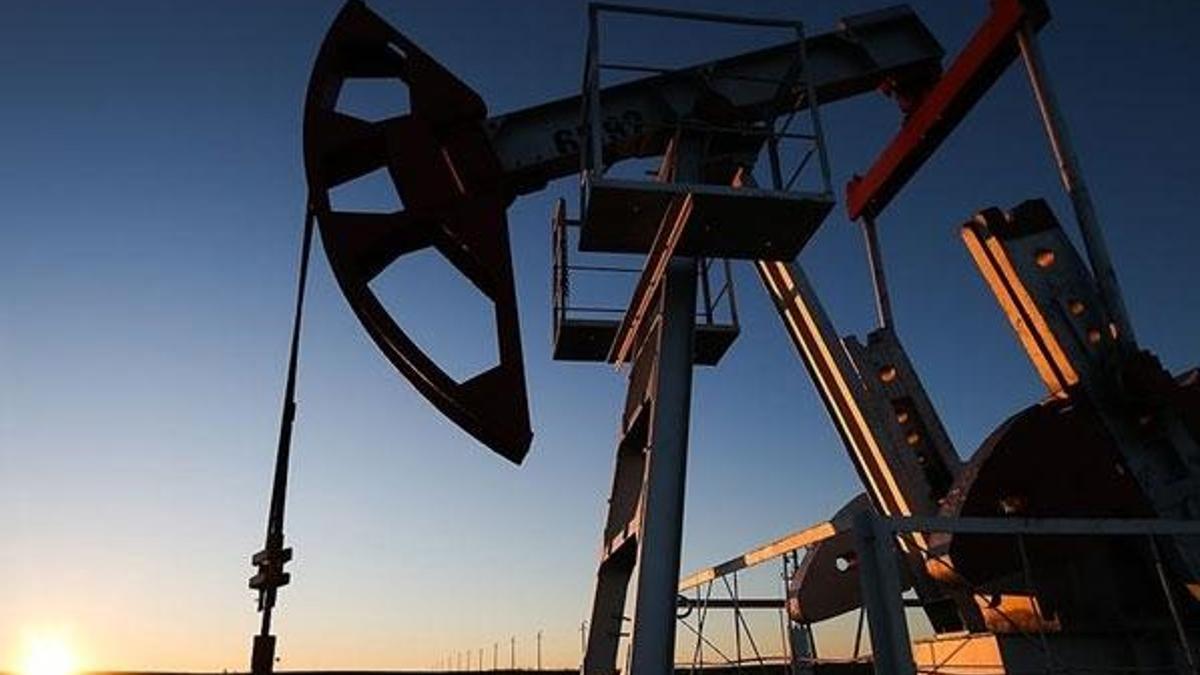 Petrol bulundu! Flaş şehit detayı!