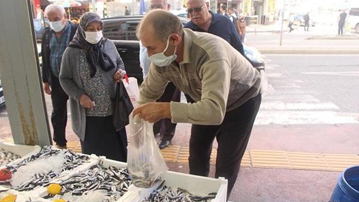 İstavrit'in kilosu 8 liraya düştü!